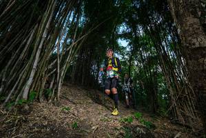 BIB: 
                            <button type="button" onclick="openModal(19395576)" class="btn btn-primary btn-sm float-right btn-popup" data-toggle="modal" data-target=".modal-high-quality">
                        <i class="fas fa-shopping-cart"></i> Add to Cart
                    </button>
                                            <button type="button" onclick="isThisMe(19395576, true)" class="btn btn-success btn-sm float-right btn-popup btn-isme hidden" data-toggle="tooltip" data-placement="bottom" title="นี่คือรูปของคุณใช่ไหม คลิกที่นี่เพื่อเอาเข้าอัลบั้ม">
                        <i class="fas fa-plus"></i> Add to album
                    </button>
                    <button type="button" onclick="isThisMe(19395576, false)" class="btn btn-warning btn-sm float-right btn-popup btn-isnotme hidden">
                        <i class="fas fa-ban"></i> Remove from album
                    </button>